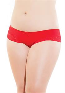 Microfiber Stretch Lace Hipster Panty Red